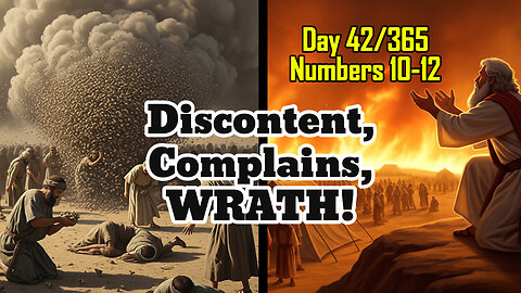Day 42/365 - Quails for Manna | Complains upon Complains #bible #biblereading #numbers