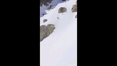 funny voice over