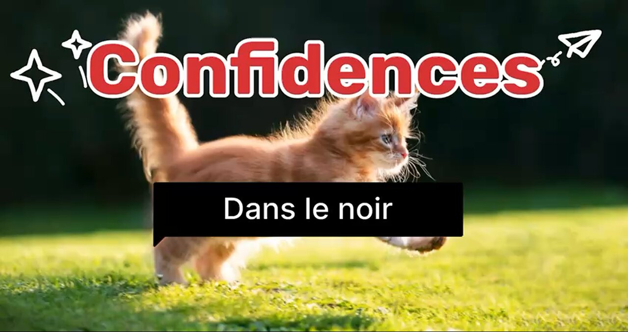 12 décembre 2024