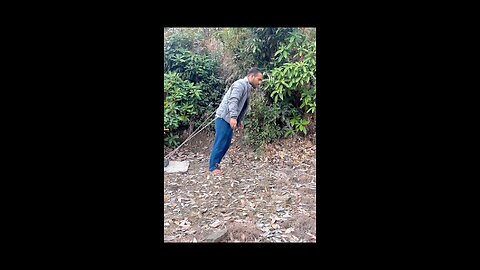 # Funny videos 😂😂