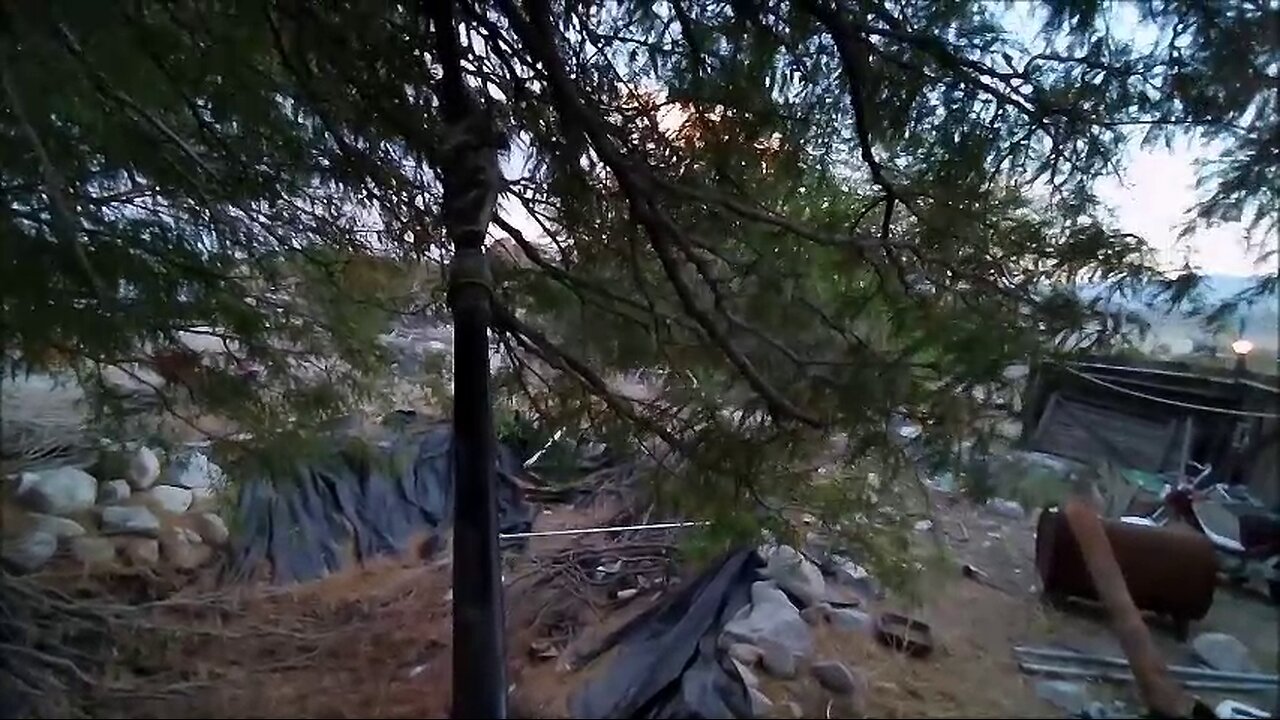 Might get a few more cuts