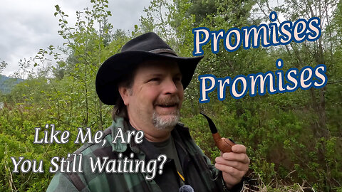 Promises Promises - Like Me, Are You Still Waiting? 4K