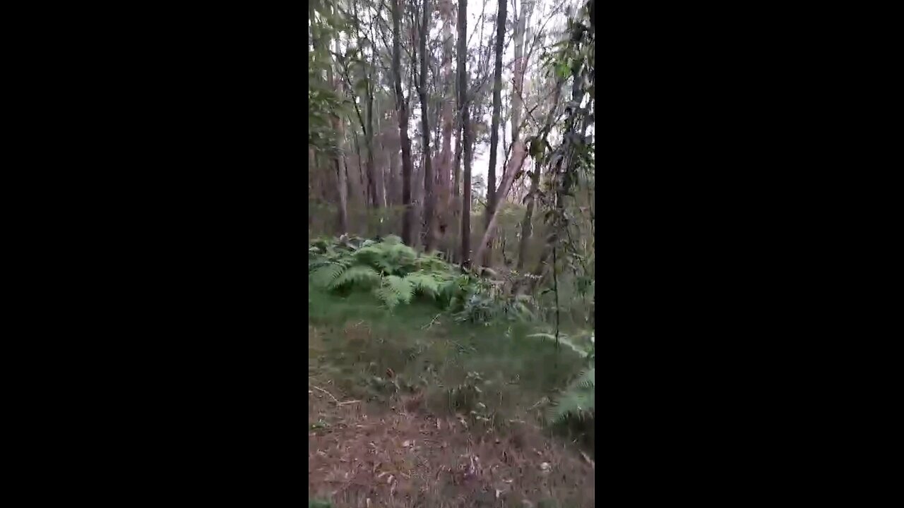 Yowie Teepee structure