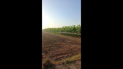 satisfying Video