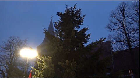 Der korrigierte Weihnachtsbaum von Wittenburg 15.01.2026
