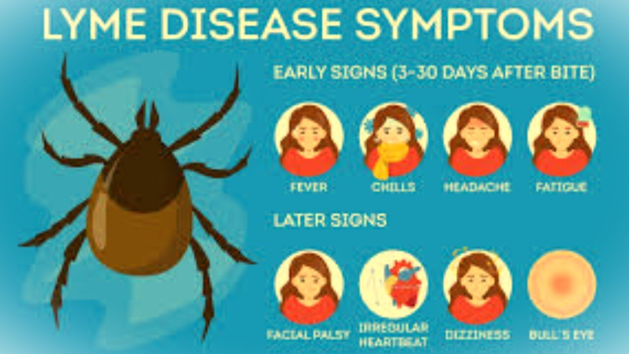 Documentary Lyme Disease A Ticking Time Bomb The Hidden Silent Epidemic Worldwide