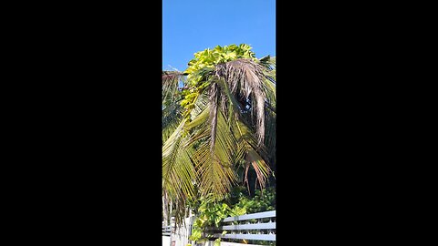 my day today before new year