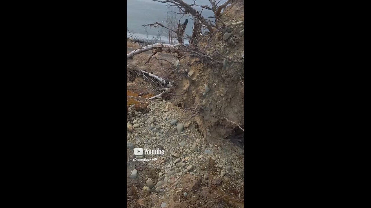 Finding a spot for bushcraft👆🏼 #Subscribe #Alaska #Bushcraft #Camping #Outdoors #Nature #DJI #fyp