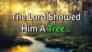 The Lord Showed Him A Tree... (Exodus 15:25)