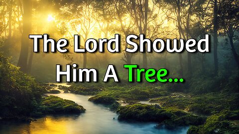 The Lord Showed Him A Tree... (Exodus 15:25)