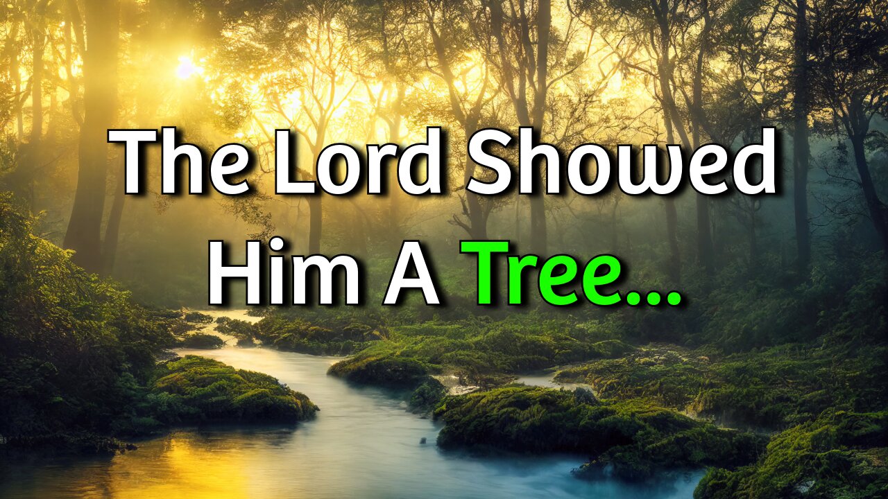 The Lord Showed Him A Tree... (Exodus 15:25)