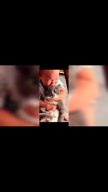 "Adorable Cats Playing with Kids – Cutest Friendship Ever! 🐱❤️👧👦"