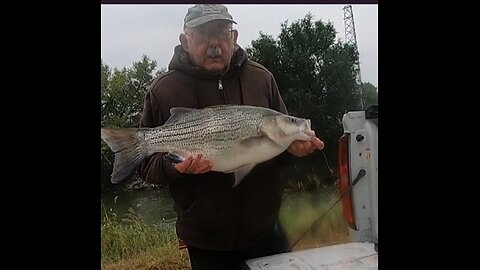 September 4, 2025: 21 lb Channel Cat, 18 lb Channel Cat & 12.5 lb Wiper