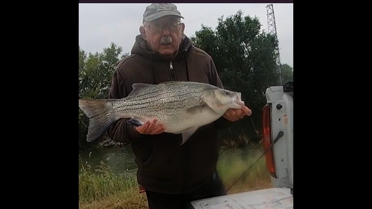 September 4, 2025: 21 lb Channel Cat, 18 lb Channel Cat & 12.5 lb Wiper