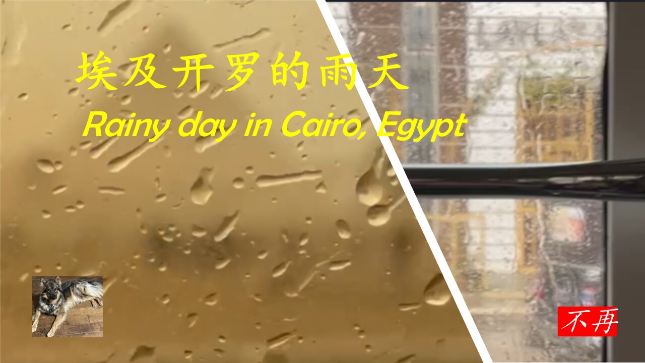 埃及开罗的雨天 Rainy day in Cairo, Egypt