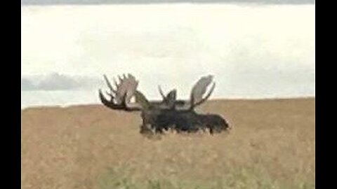 This how we do it !!!!!