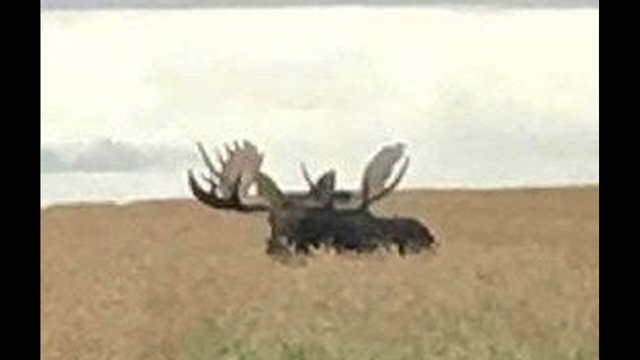 This how we do it !!!!!