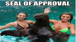 Former SEAL Commander Arrested for Sedition and Treason + Parsley Blocks Cancer’s Backup Fuel Source