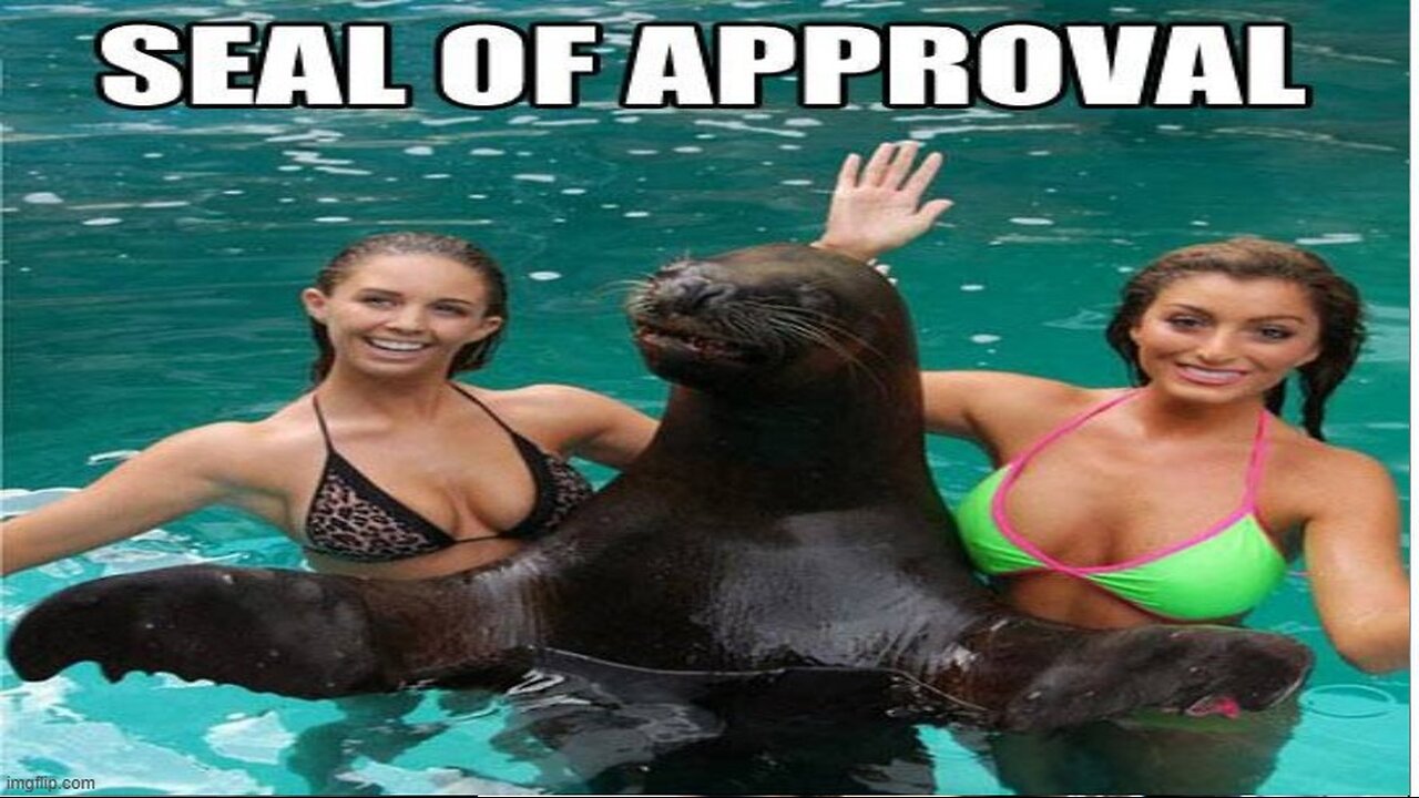 Former SEAL Commander Arrested for Sedition and Treason + Parsley Blocks Cancer’s Backup Fuel Source