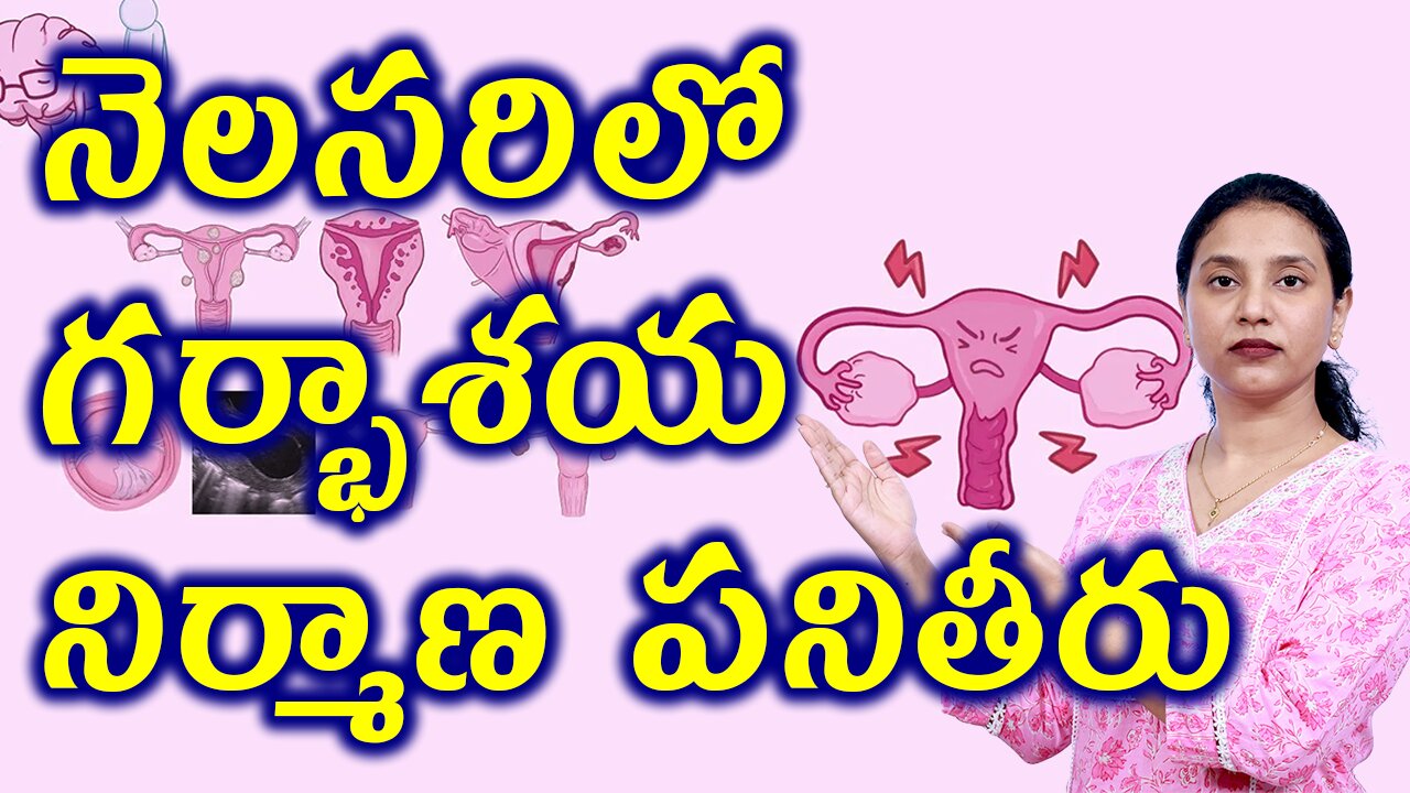 నెలసరిలో గర్భాశయ నిర్మాణ పనితీరుStructure and Function of Uterine Related to Dysmenorrhea Homeopathy