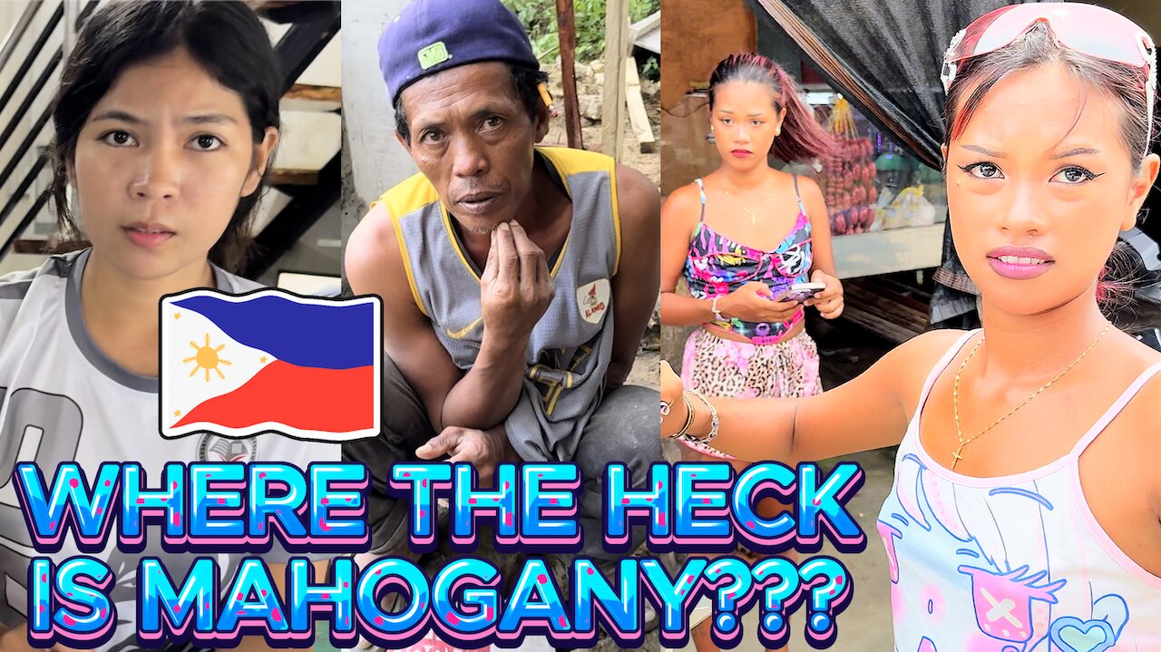 ALL ABOUT DA WOOD...THE HUNT TO BUY MAHOGANY CONTINUES! OFF GRID ISLAND FAMILY PHILIPPINES LIVING