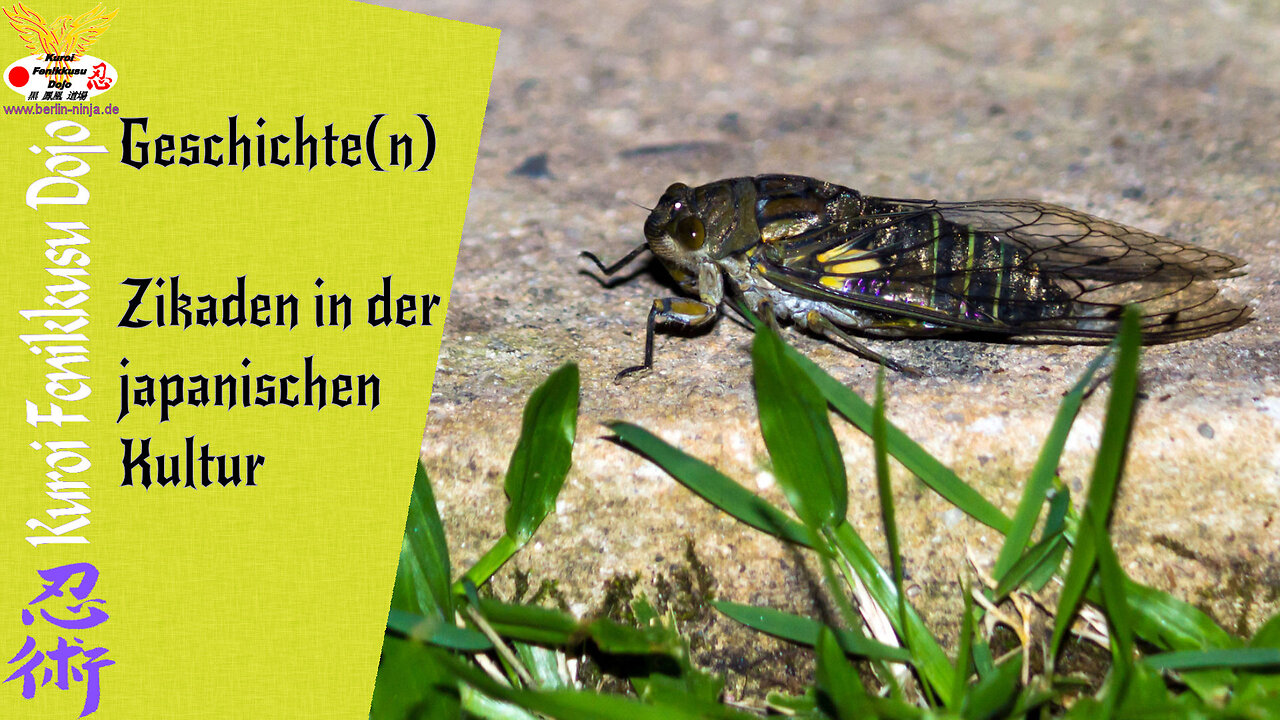 Zikaden in der japanischen Kultur