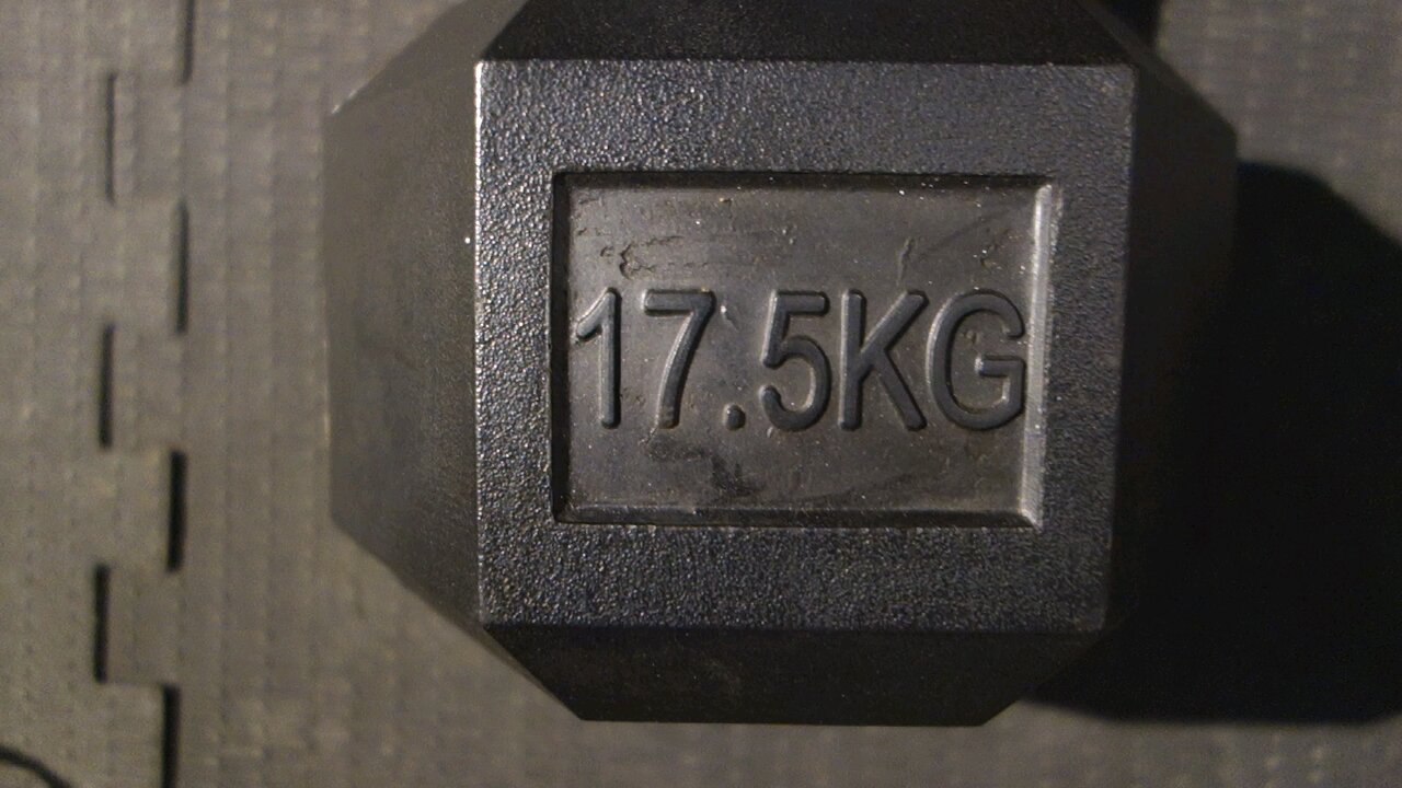 17.5kg curls