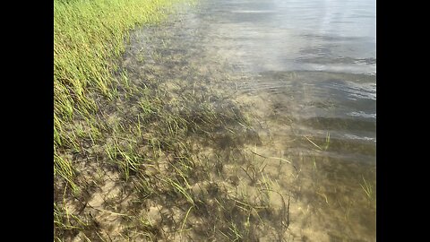 Panacea Florida Saturday June 7, 2025