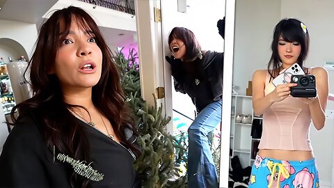 Cinna & Zoil Struggle Taking Out The Christmas Tree -