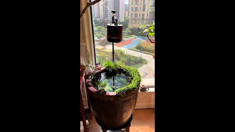 The Tranquil World Within: Guppies, Greens, and Good Vibes