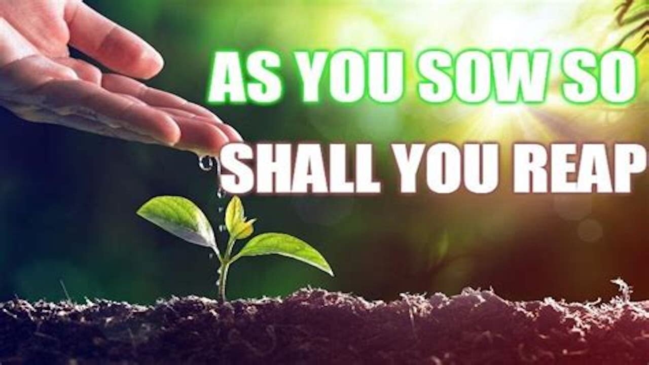 If You Are Sowing In Sin, Something You Should Consider.