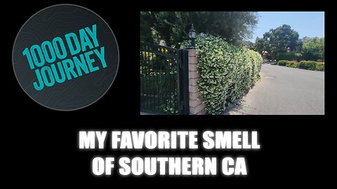 1000 Day Journey 0689 My Favorite Smell of Southern CA