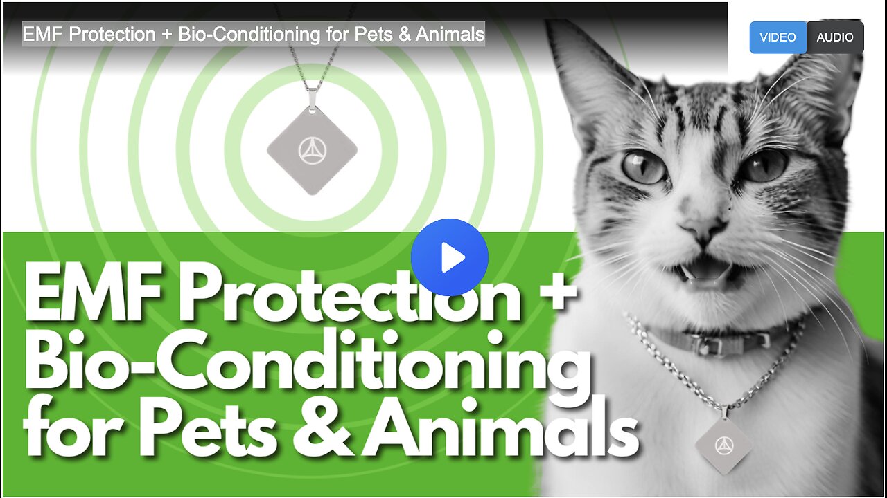 EMF Protection + Bio-Conditioning for Pets & Animals