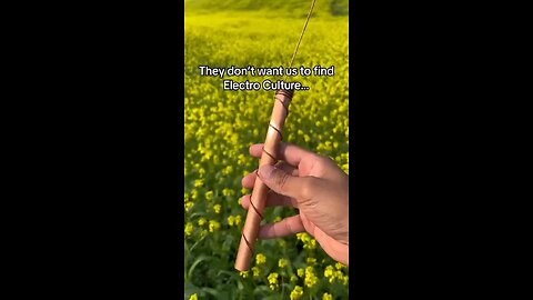 biodiversity. 🦋🐞 🌾Ready to try? - Just insert a stick with a copper wire near your plant (avoid