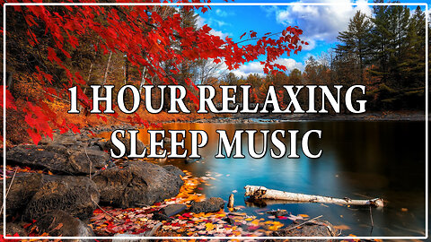 1 Hour Sleep Music 😴✨ | Deep Relaxation for Insomnia, Study & Spa 🧘🎵