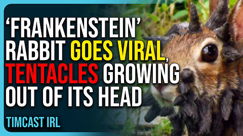 Insane ‘Frankenstein’ Rabbit Goes Viral, Has Creepy Tentacles Growing Out of Its Head