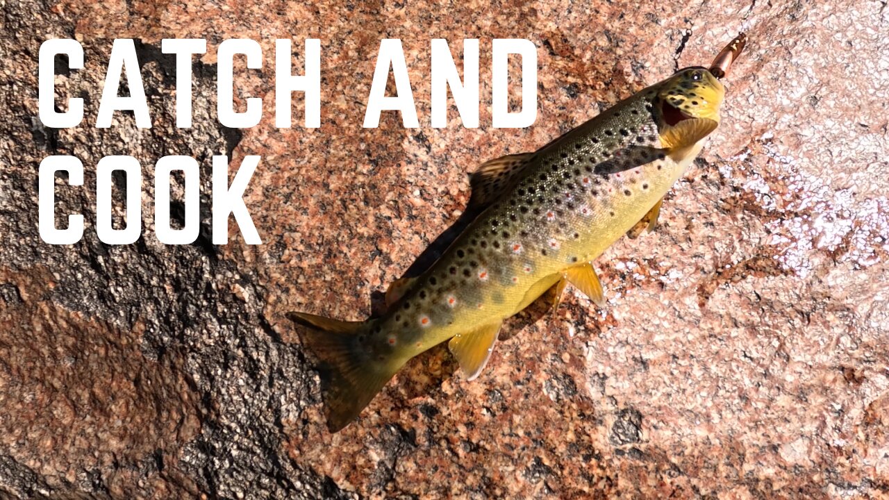 Fishing SOLO in the MOUNTAINS!!! CATCH and COOK (2/3)