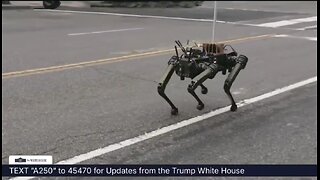 Robot Dogs Join The 250th Army Anniversary Parade