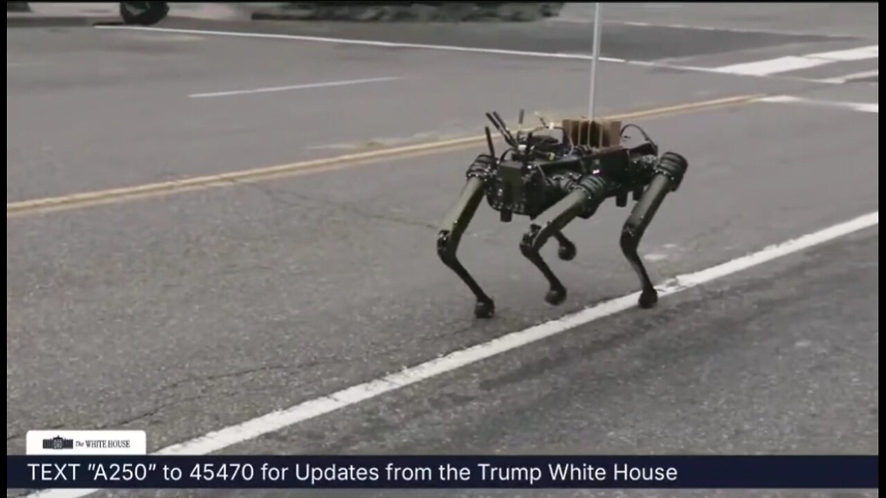 Robot Dogs Join The 250th Army Anniversary Parade