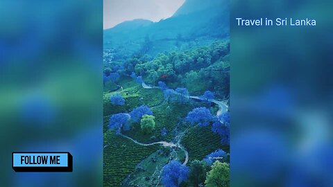 Welcome to Sri Lanka#travel#srilanka#