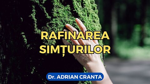 Rafinarea simțurilor