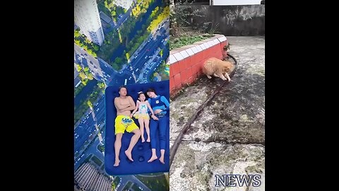 A cat plays with water from a pipe. Meanwhile, someone falls down while sleeping.