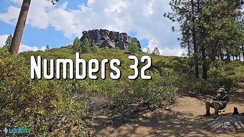 Numbers 32, Bible Reading in Nature, BSB