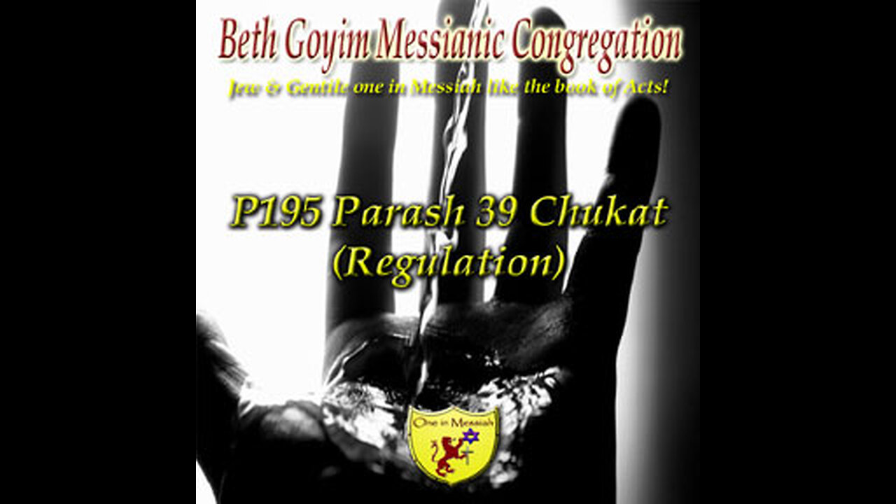 BGMCTV P195 Parash 39 Chukat (Regulation) B’midbar (Num) 19:1-22:1