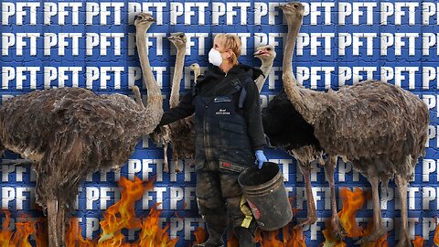 This Is Universal Ostrich Inc. - A Deep Dive With Press For Truth