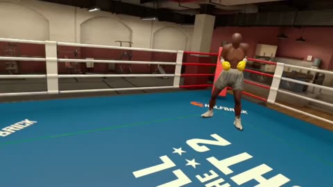 victoria j and vegan patriots discord protection pressed out of ring again