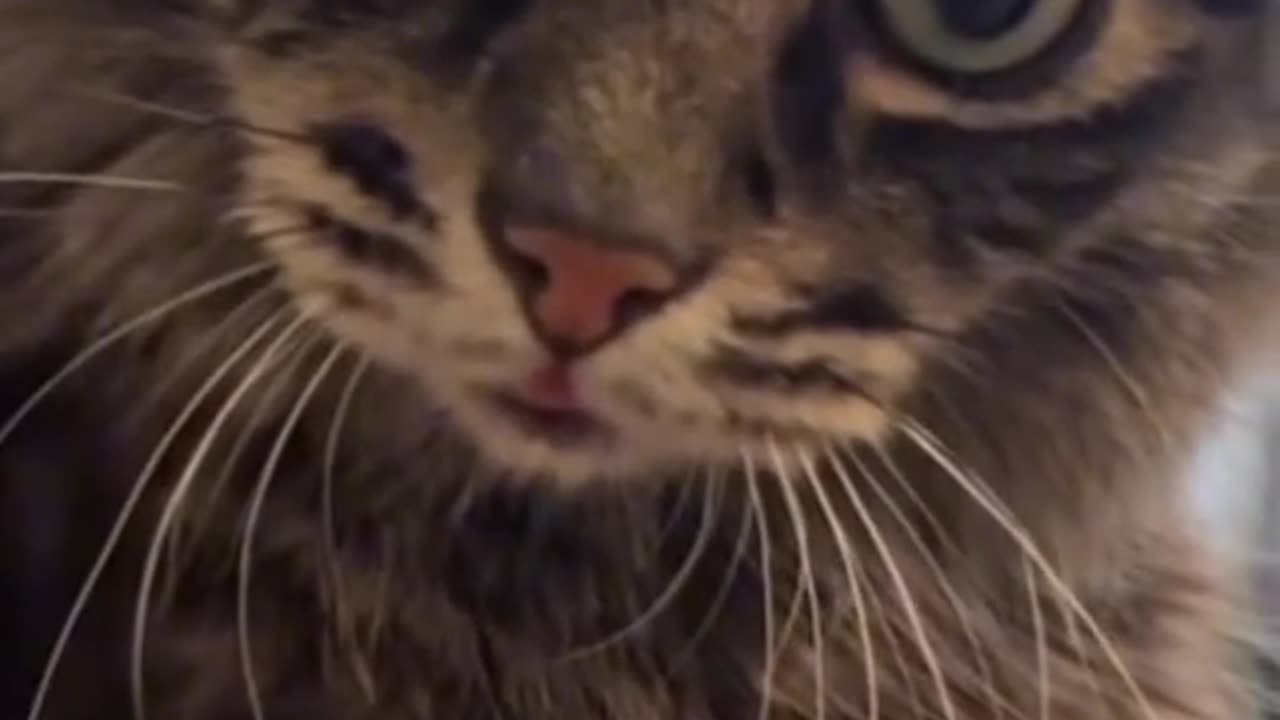 I GOT HIGH 😂 DON’T JUDGE !