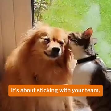 My Daughter Explains Leadership in 22 Seconds