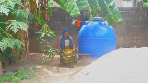 Village Nuisance