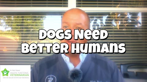 Dogs Need Better Humans